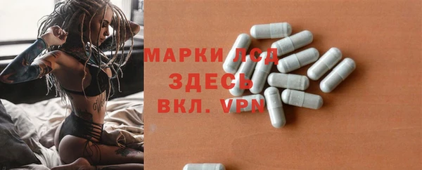 spice Белокуриха
