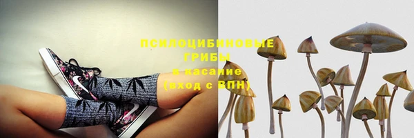 прущая мука Беломорск