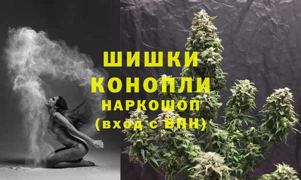 spice Белокуриха