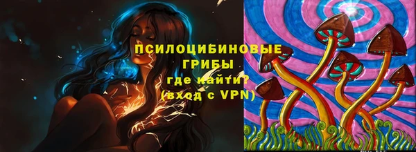 прущие крисы Белоозёрский
