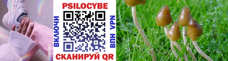 Псилоцибиновые грибы мухоморы  Жирновск 